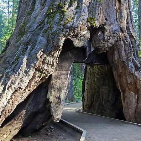 Lakeside Bls Retreat Near Big Trees & Bear Valley Βίλα Arnold Εξωτερικό φωτογραφία